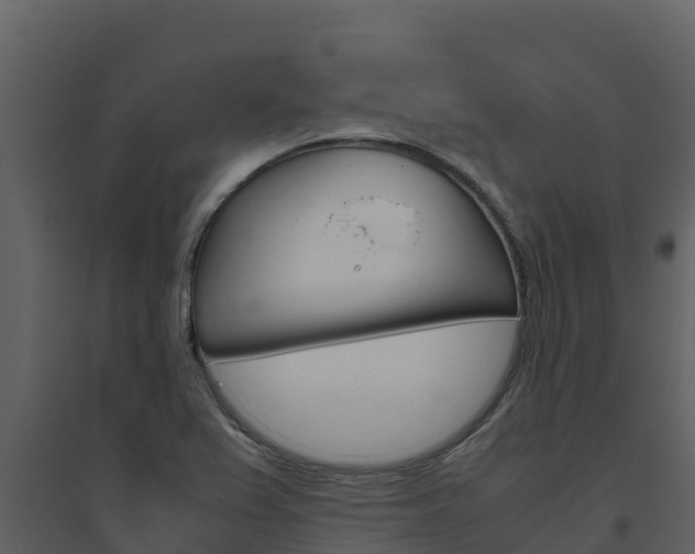 X0000094801367200711160930