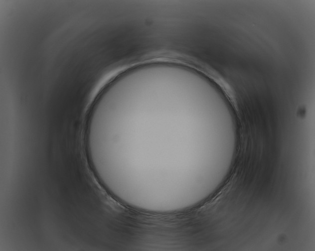 X0000094801368200711160930