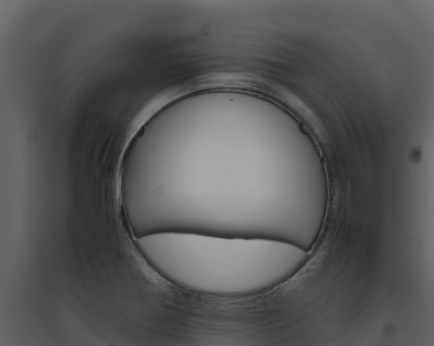 X0000094801370200711160930
