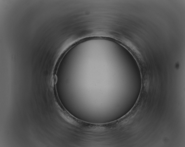 X0000094801372200711160930