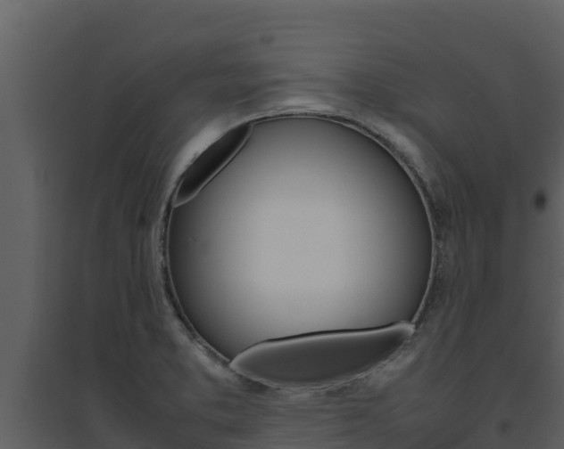 X0000094801373200711160930