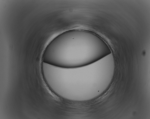 X0000094801375200711160930