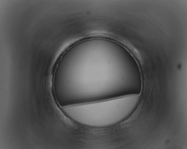 X0000094801376200711160930
