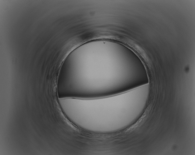 X0000094801377200711160930