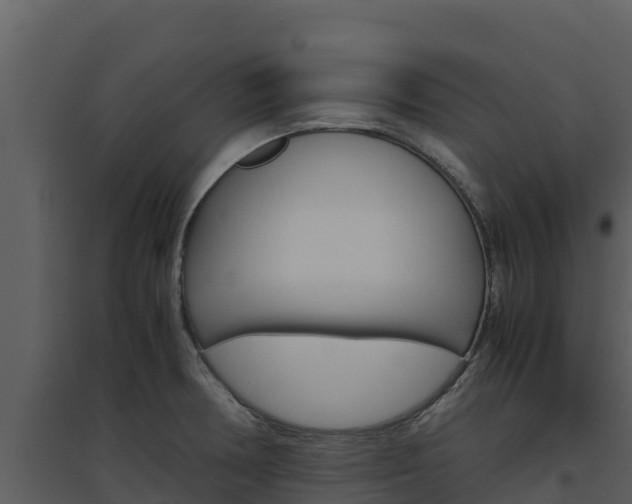 X0000094801378200711160930