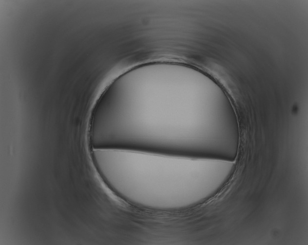X0000094801379200711160930