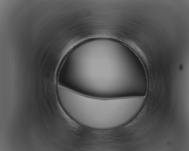 X0000094801380200711160930