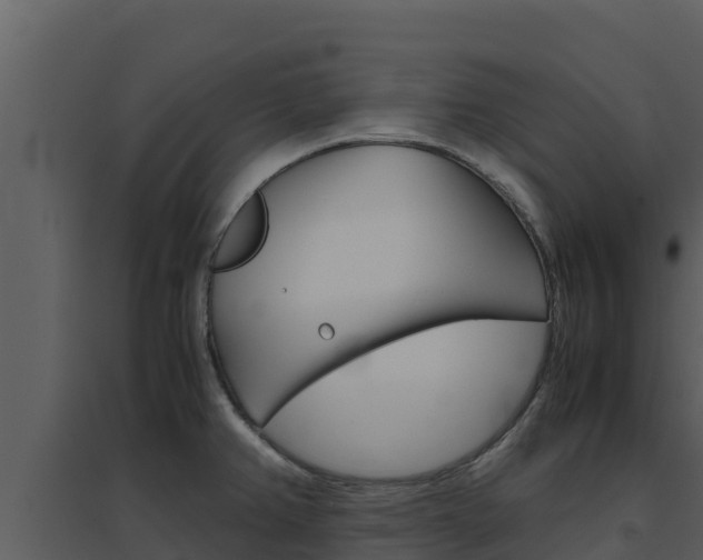 X0000094801382200711160930