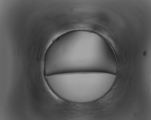 X0000094801383200711160930