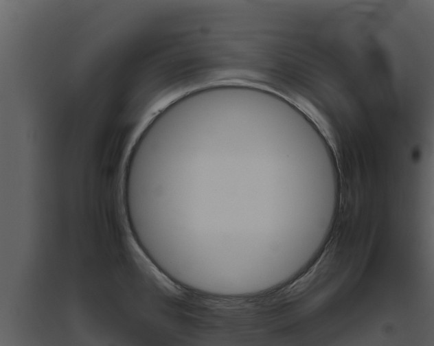 X0000094801384200711160930
