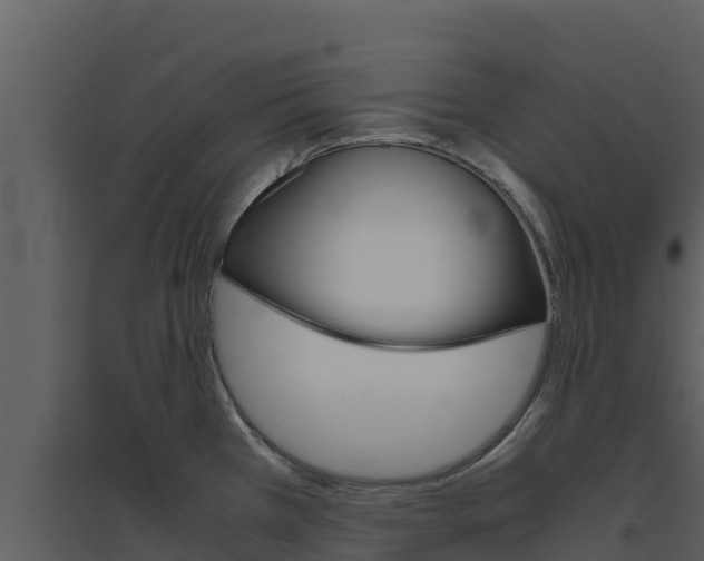 X0000094801385200711160930