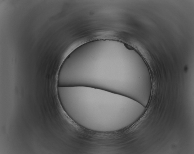 X0000094801386200711160930