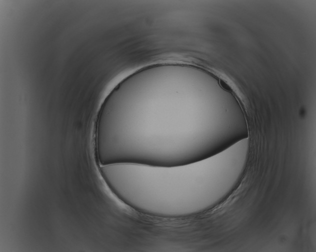 X0000094801387200711160930