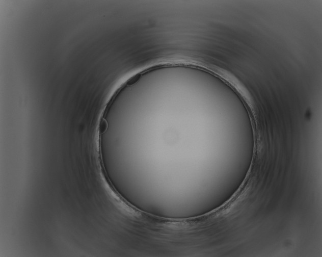 X0000094801388200711160930