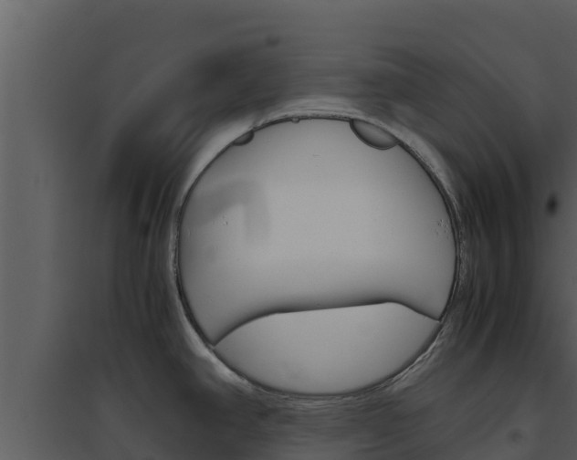 X0000094801390200711160930