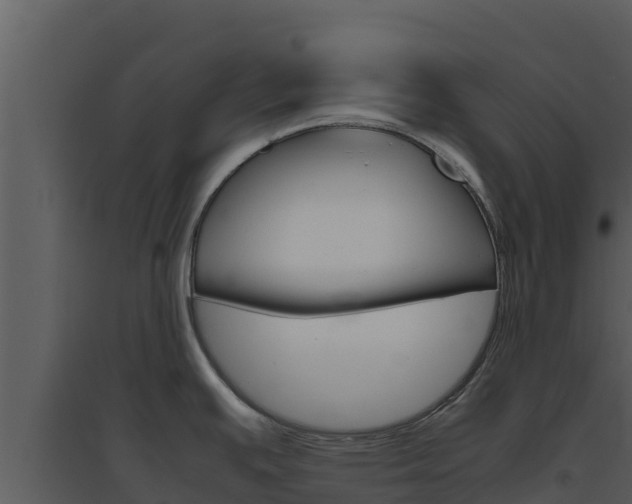 X0000094801391200711160930