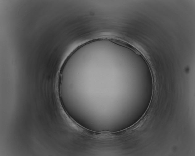X0000094801392200711160930