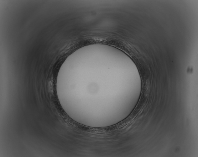 X0000094801394200711160929