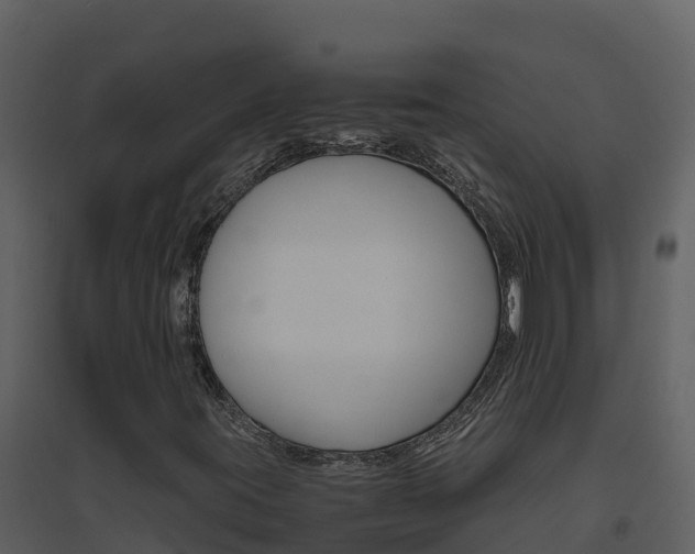 X0000094801395200711160929