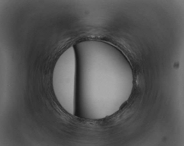 X0000094801396200711160929