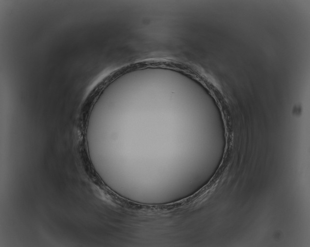 X0000094801400200711160929