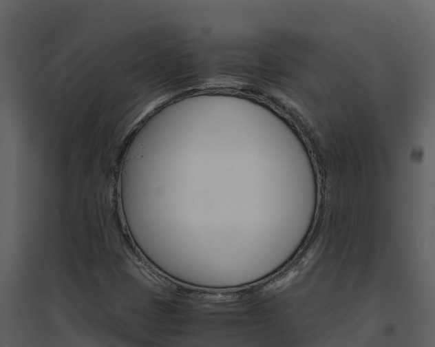X0000094801401200711160929