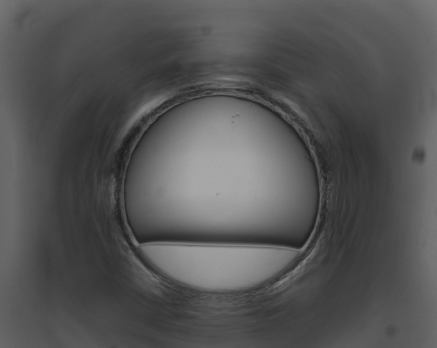 X0000094801402200711160929