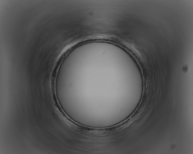 X0000094801404200711160929