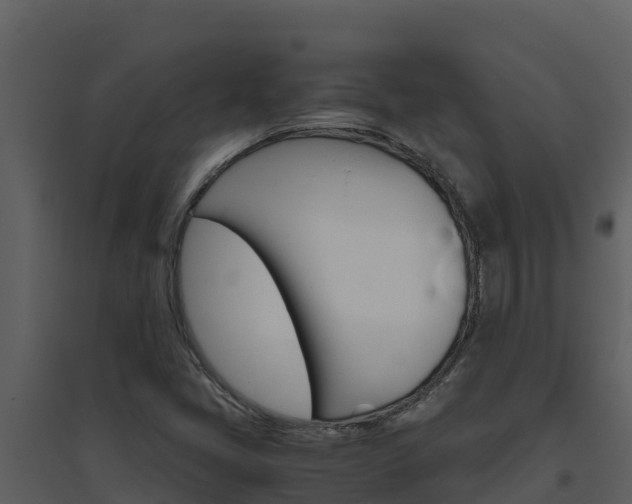 X0000094801405200711160929