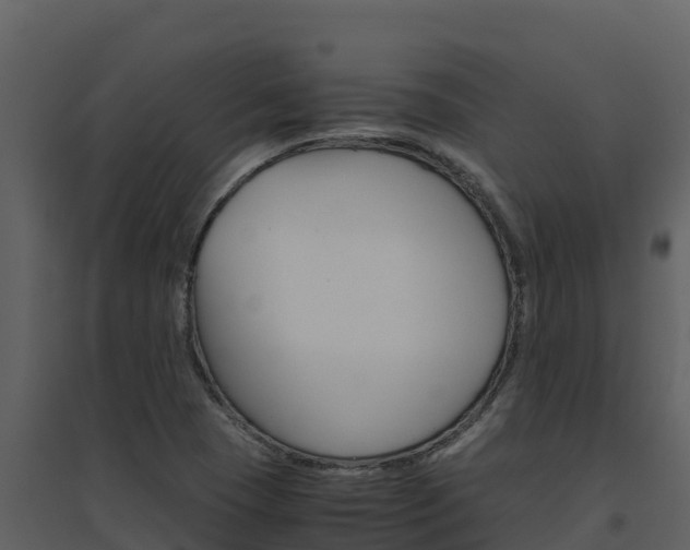 X0000094801409200711160929