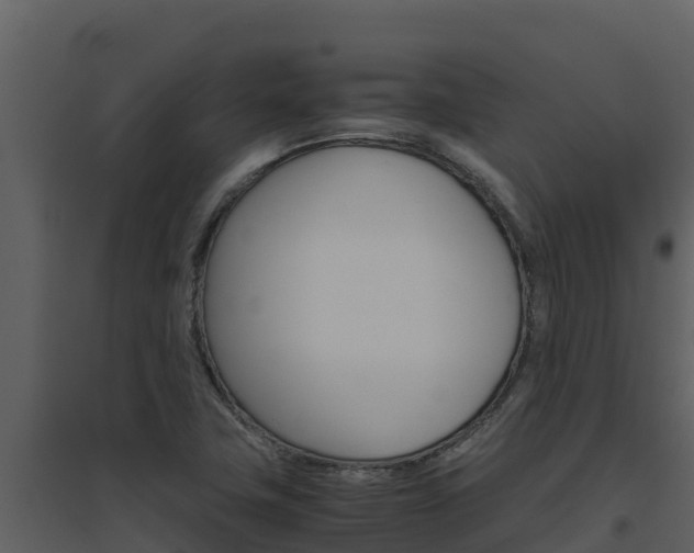 X0000094801411200711160929