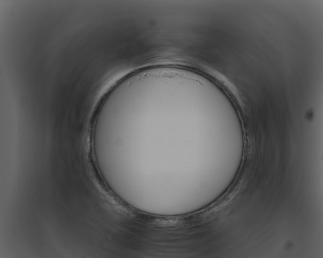 X0000094801415200711160929