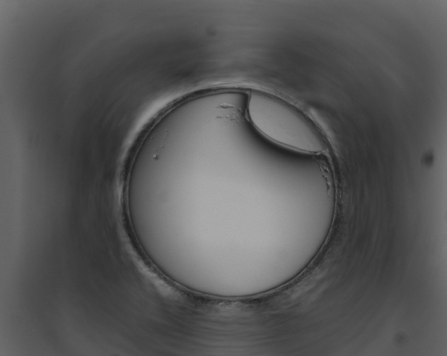 X0000094801416200711160929