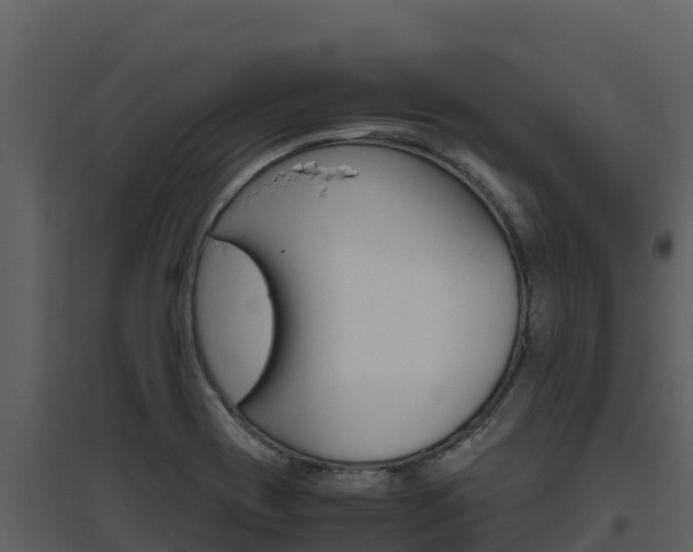 X0000094801417200711160929