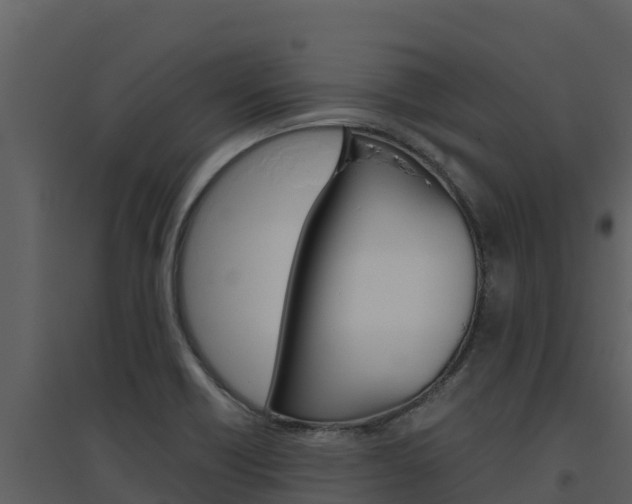 X0000094801418200711160929