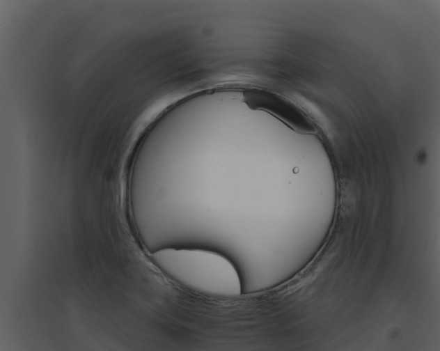 X0000094801419200711160929
