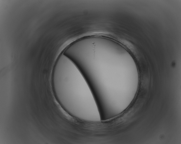 X0000094801420200711160929