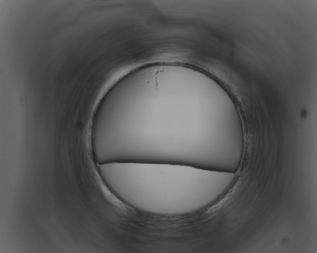 X0000094801421200711160929