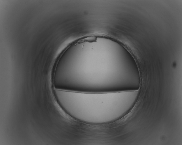 X0000094801422200711160929