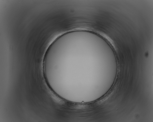 X0000094801423200711160930