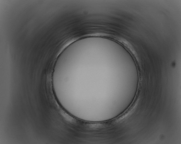 X0000094801425200711160930