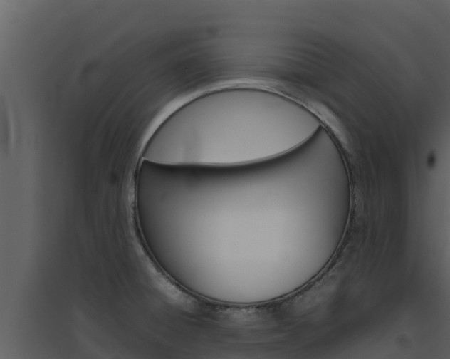 X0000094801428200711160930