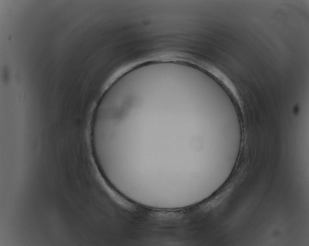 X0000094801429200711160930