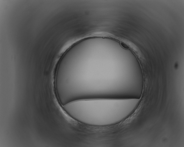 X0000094801430200711160930