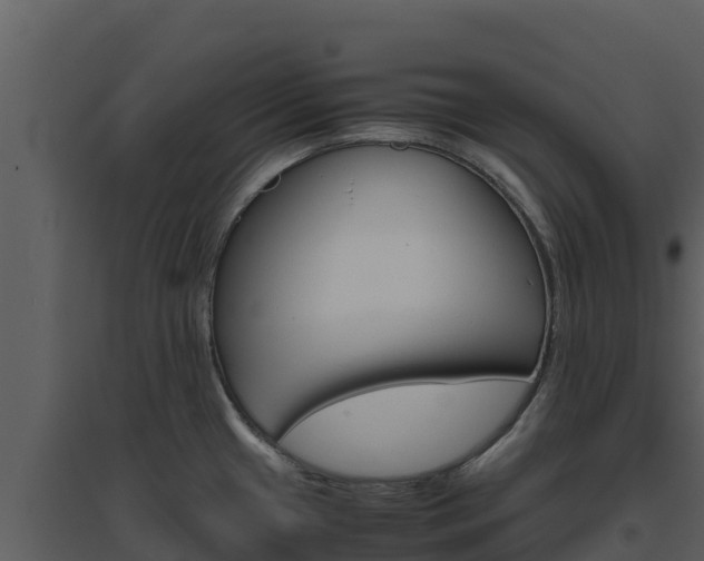 X0000094801433200711160930