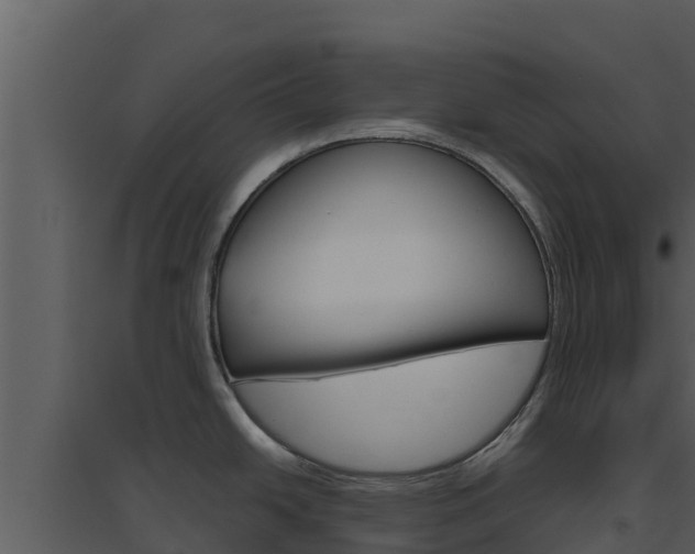 X0000094801438200711160930