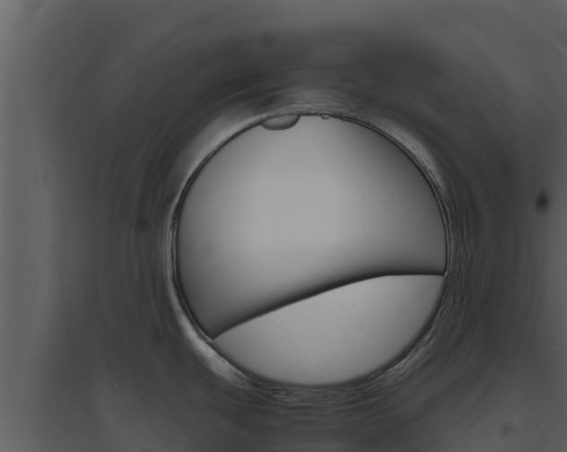 X0000094801439200711160930
