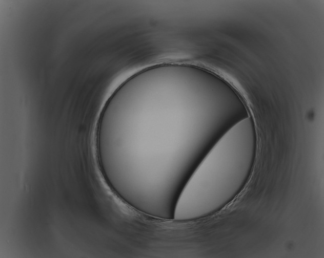 X0000094801440200711160930