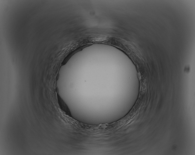X0000094801441200711160929
