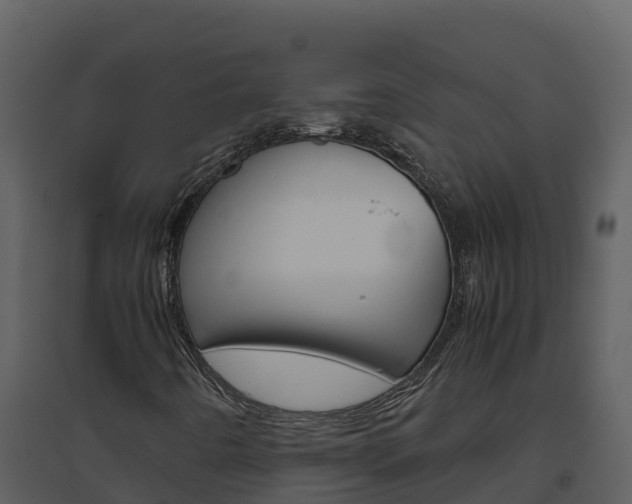 X0000094801442200711160929